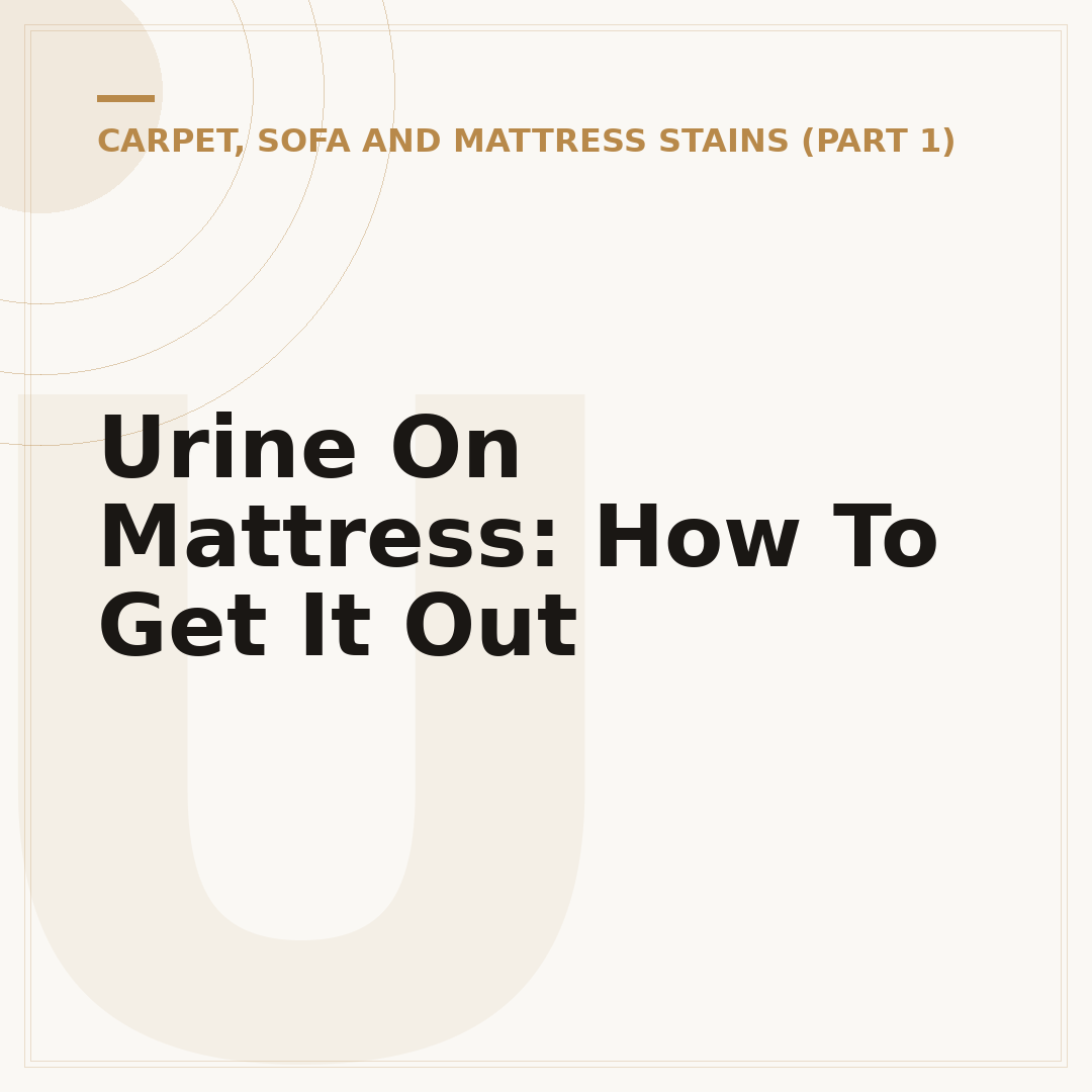 Urine On Mattress: How To Get It Out