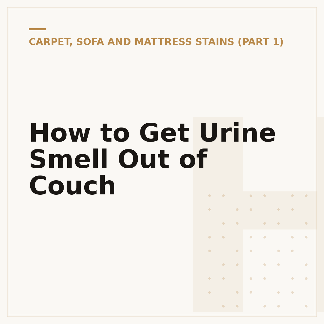 How to Get Urine Smell Out of Couch