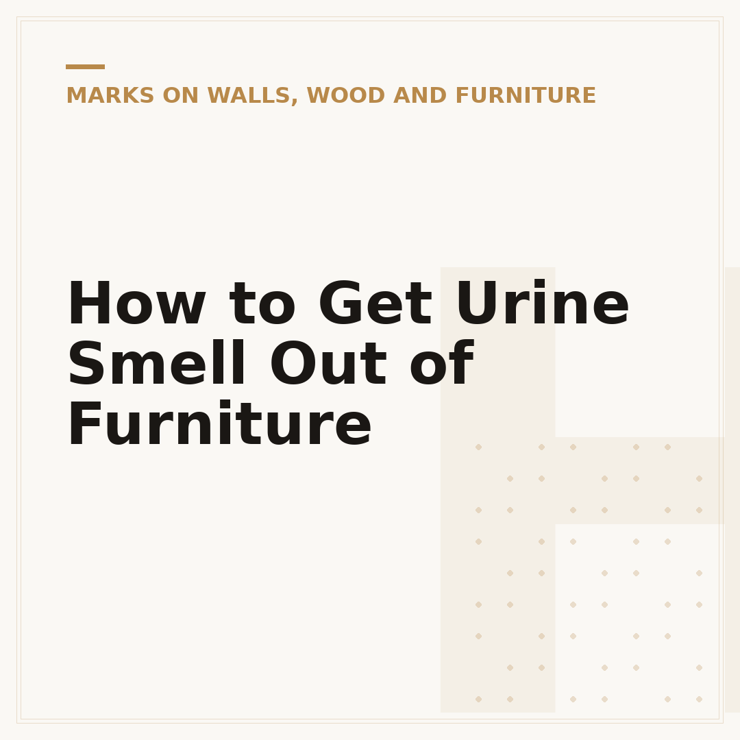 How to Get Urine Smell Out of Furniture