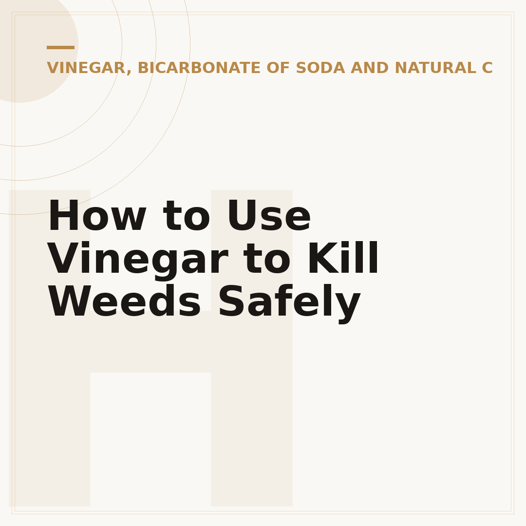 How to Use Vinegar to Kill Weeds Safely