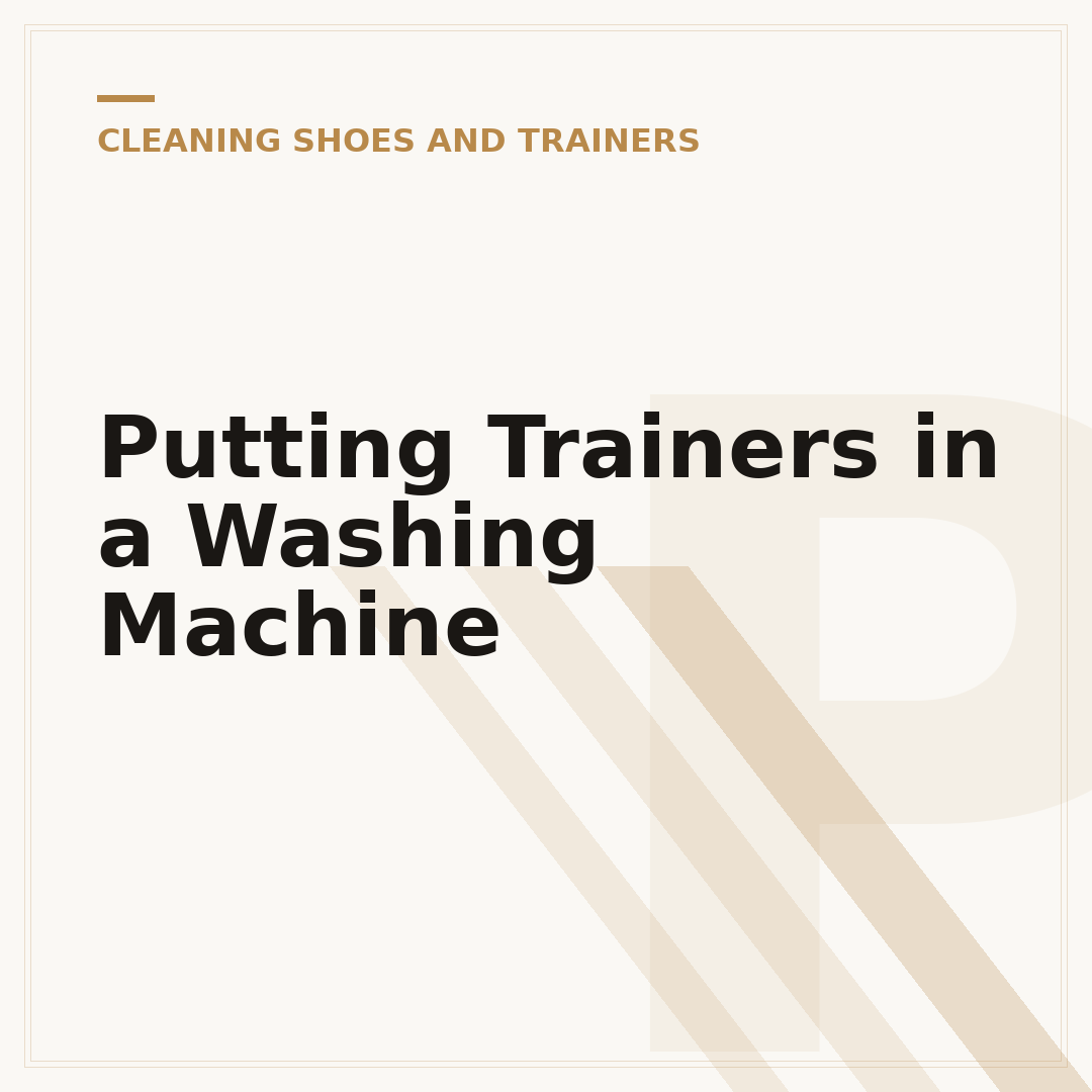 Putting Trainers in a Washing Machine