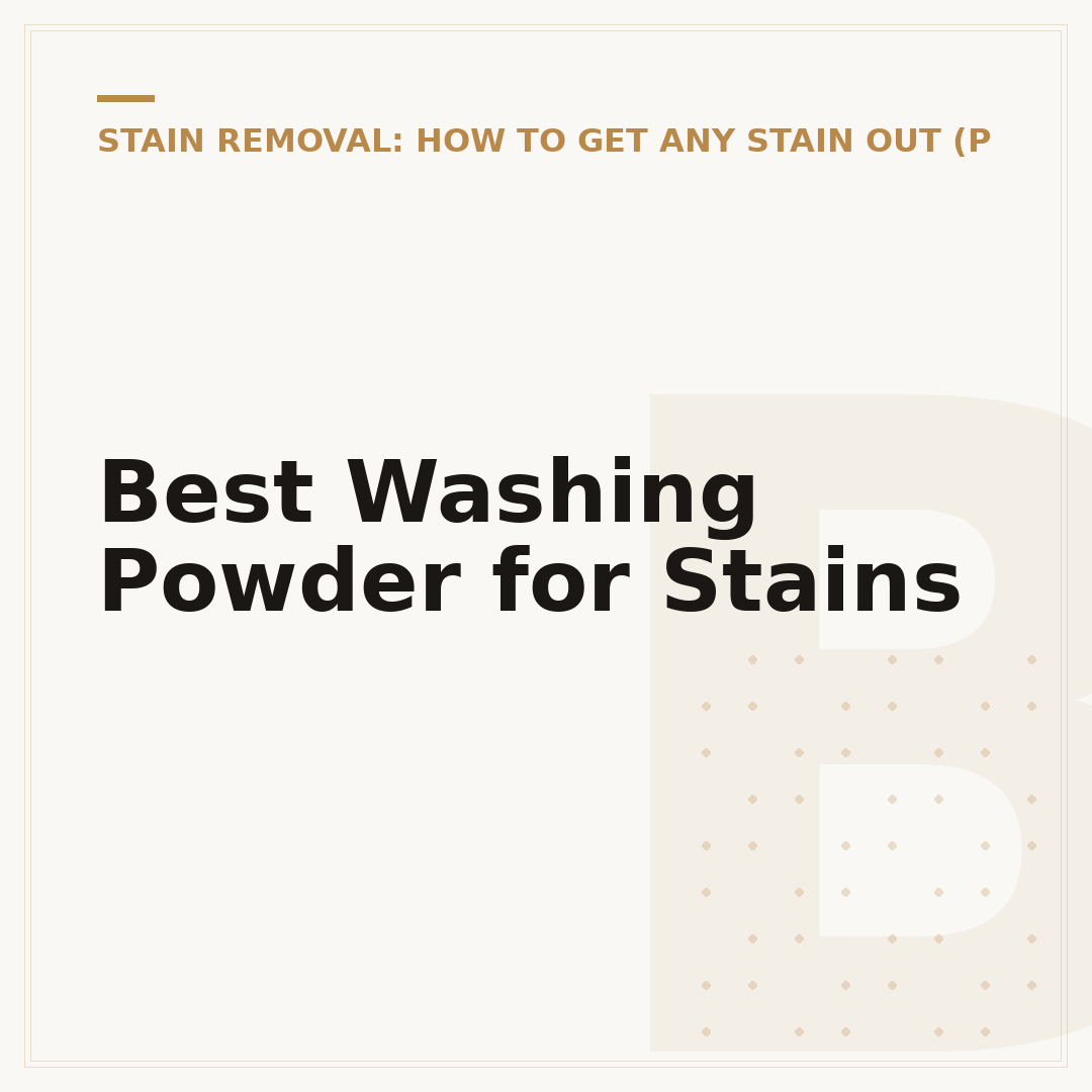 Best Washing Powder for Stains