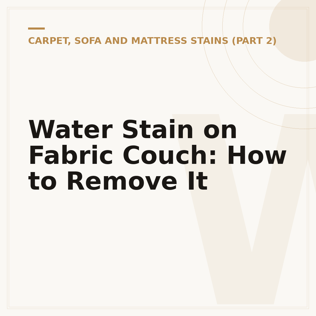 Water Stain on Fabric Couch: How to Remove It