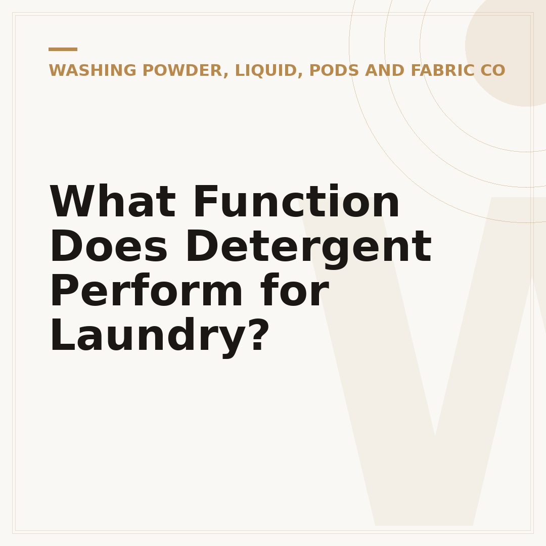 What Function Does Detergent Perform for Laundry?