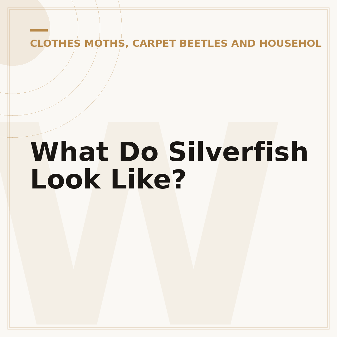 What Do Silverfish Look Like?