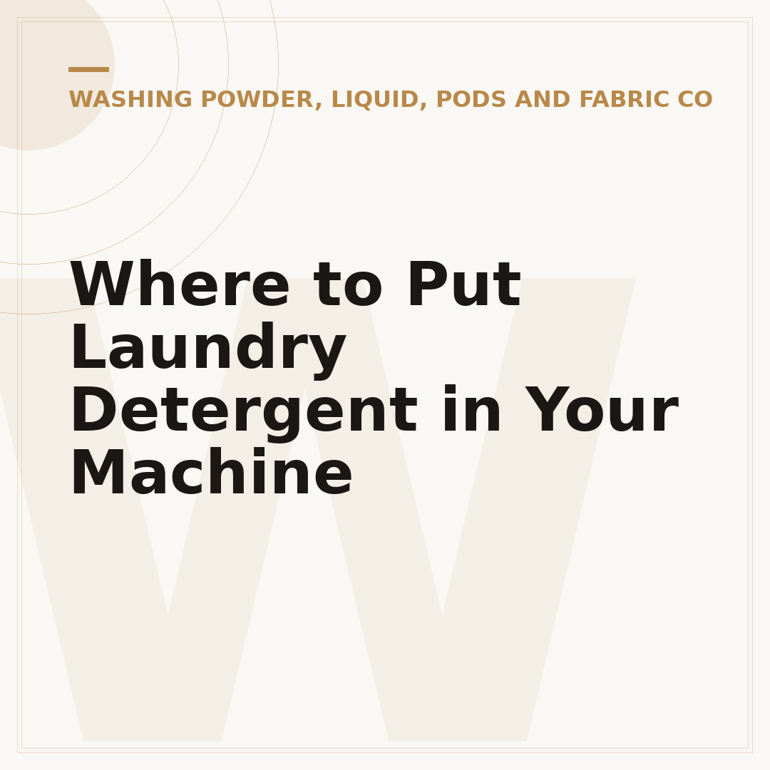 Where to Put Laundry Detergent in Your Machine