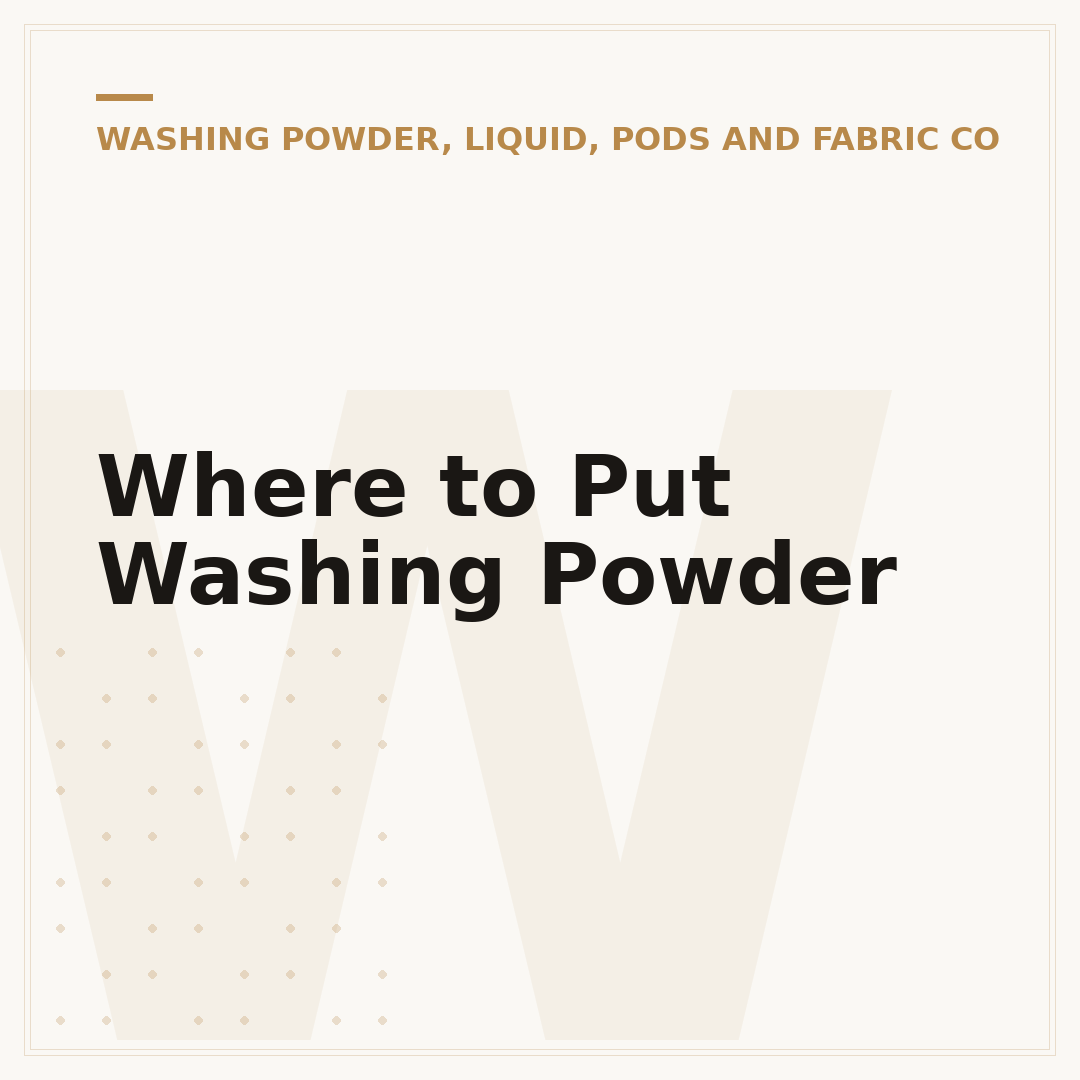 Where to Put Washing Powder