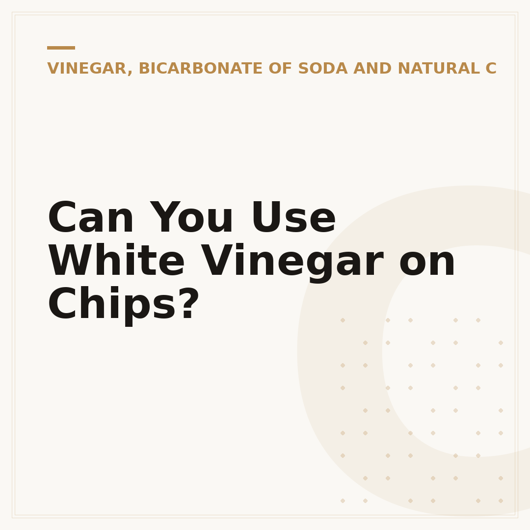 Can You Use White Vinegar on Chips?