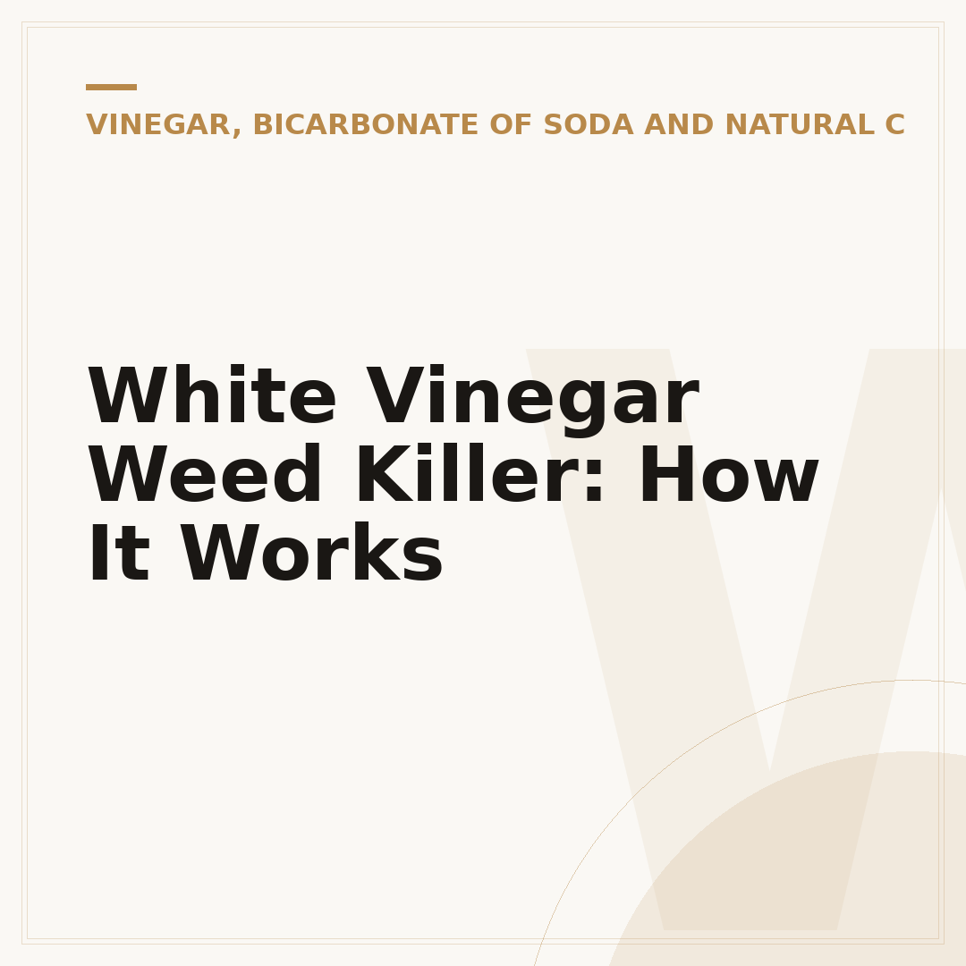 White Vinegar Weed Killer: How It Works